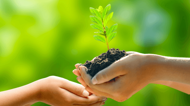 Sustainability